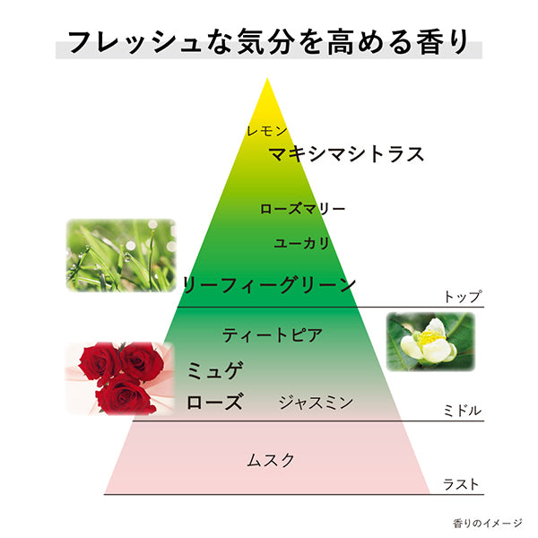 Cream in Day II, SPF30, PA+++, 40g