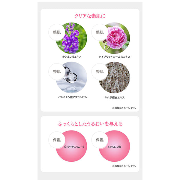 Japan Life Pharmaceutical JLP Clear Soap (with Foaming Net), 75g