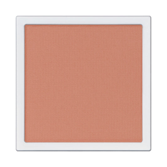 ADDICTION The Single Eyeshadow Matte Refill (010M Same School)