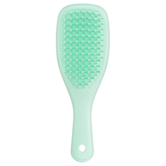 Tangle Teezer The Ultimate Detangler Mini Soft & Damaged (Pastel Mint), 34g
