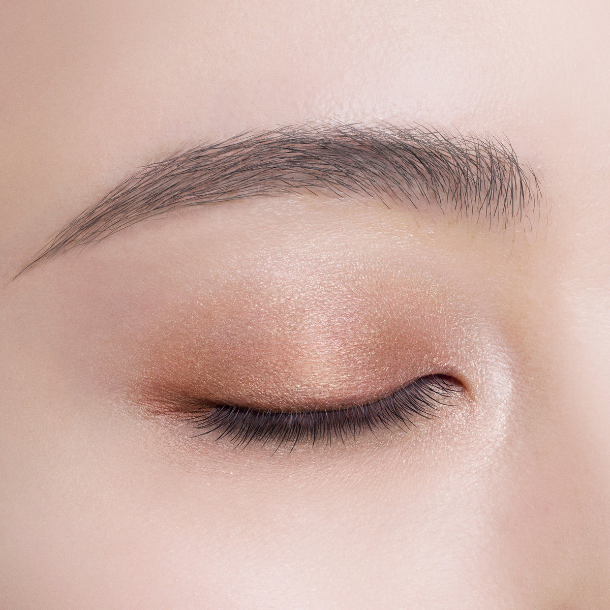 COSME DECORTE Skinshadow Designing Palette (7 Firenze)