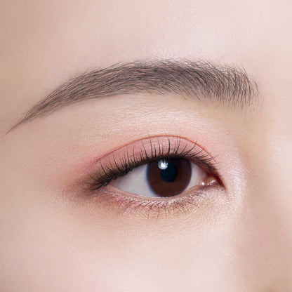 COSME DECORTE Skinshadow Designing Palette (5 Tailored Tweed)