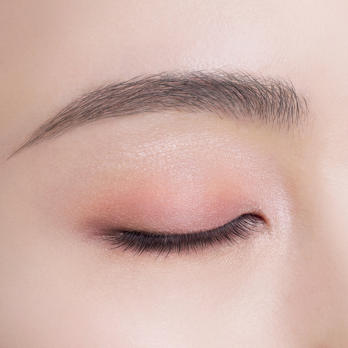 COSME DECORTE Skinshadow Designing Palette (5 Tailored Tweed)