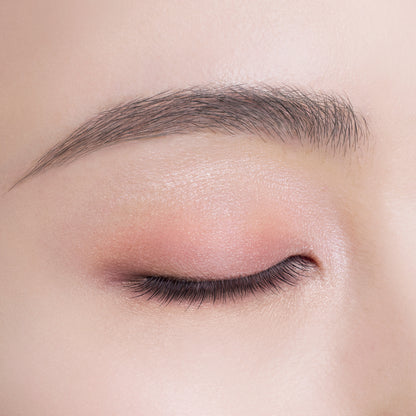COSME DECORTE Skinshadow Designing Palette (5 Tailored Tweed)