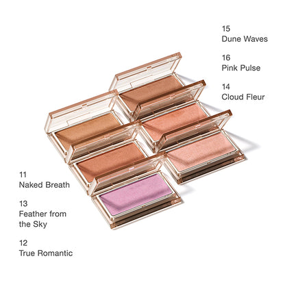 RMK Pure Complexion Blush (11)