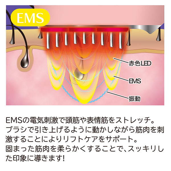 Omni EMS & RF Lift Brush Beaute