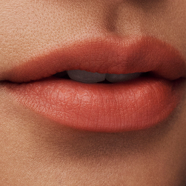 Estée Lauder Pure Color Whisper Matte Lipstick (655 Tell Your Secret)