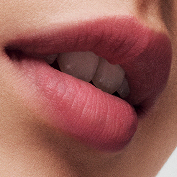 Estée Lauder Pure Color Whisper Matte Lipstick (382 Soft Spoken)