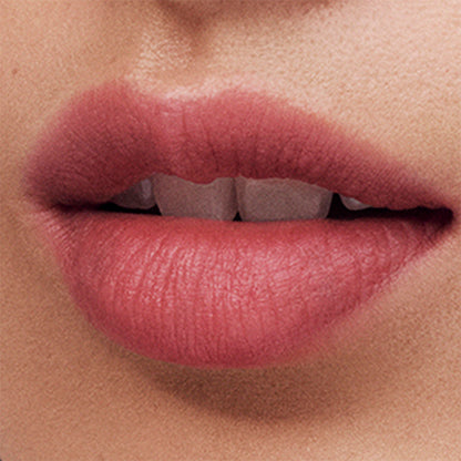 Estée Lauder Pure Color Whisper Matte Lipstick (510 Extroverted Introvert)