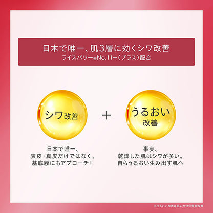 (Pre-order) The Linkless W, 5g, Green Floral