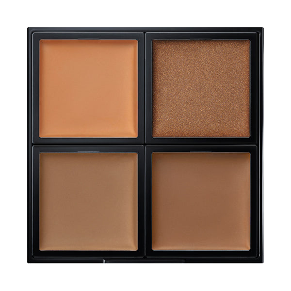 ADDICTION Skin Reflect Fresh Concealer (004 Tan)