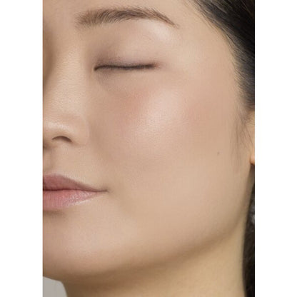 Cheek Blush N, 04 Nude Brown, 3.9g