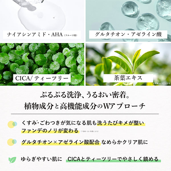 CLAYPATHY Deep Cleansing Gel / 300ml