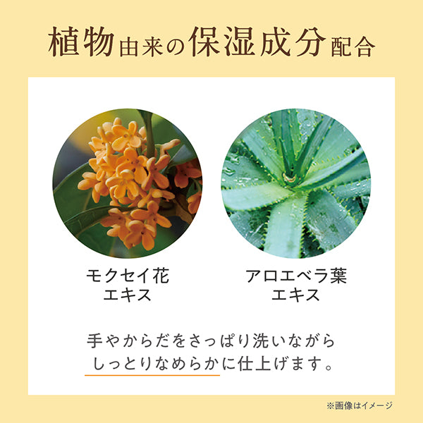 Kinmokusei Hand & Body Soap, 290ml (Sweet Soft Osmanthus)