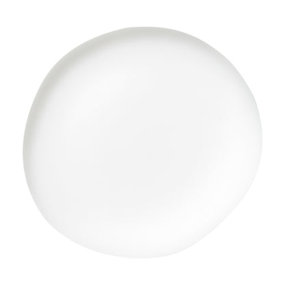 Oriental Plants Fermented Lotion - 60 Lotion Pack Set, 150ml, 20 sheets