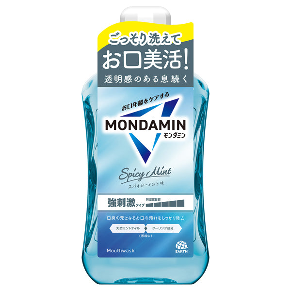 MONDAMIN Spicy Mint, 1000ml