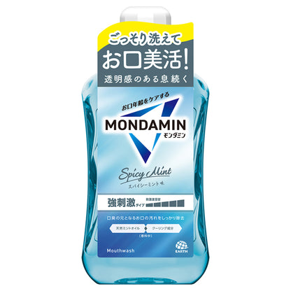 MONDAMIN Spicy Mint, 1000ml