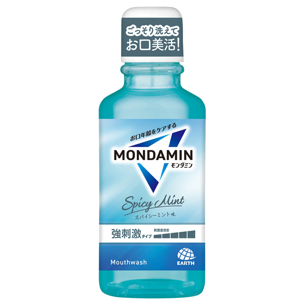 Mondamin Spicy Mint, 100ml