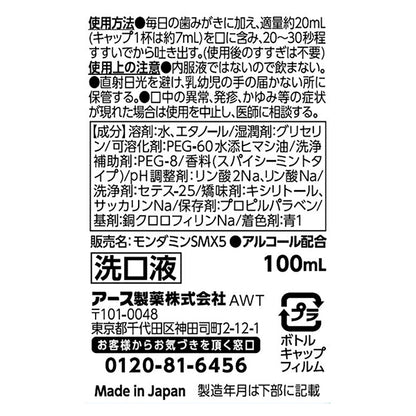 Mondamin Spicy Mint, 100ml