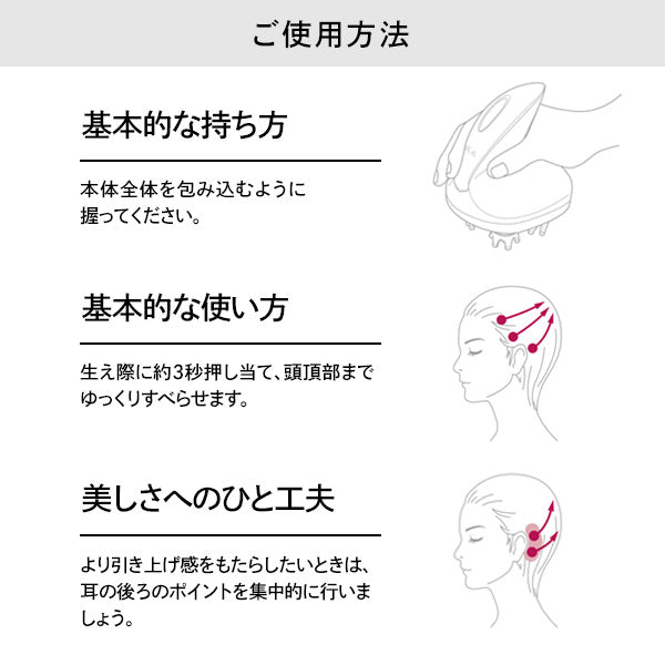 ReFa Grace Head Spa Set