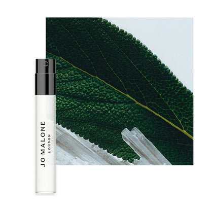 Jo Malone London Cologne Gift Set (Nectarine Blossom & Honey), 30ml