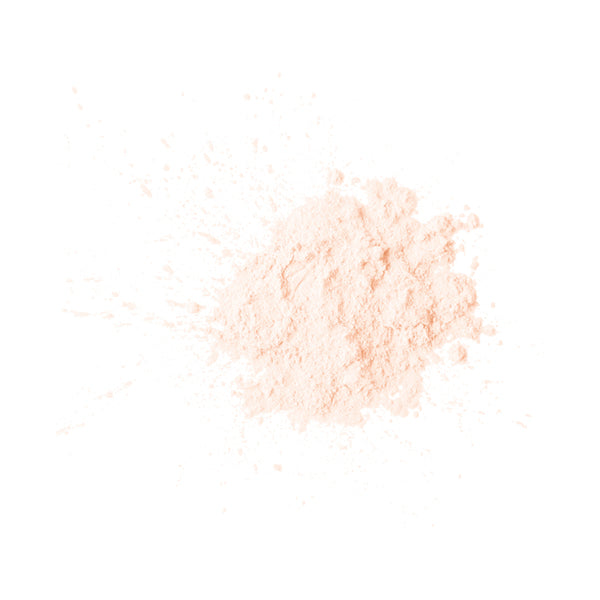 NARS Prisma Powder Loose 04203 Kit (DUSK)