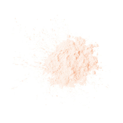NARS Prisma Powder Loose 04203 Kit (DUSK)