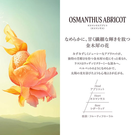 L'Occitane Osmanthus Abricot Perfumed Hand Cream, 30ml
