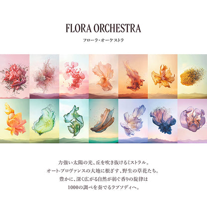 Neroli Orchidee Perfumed Body Milk, 250ml