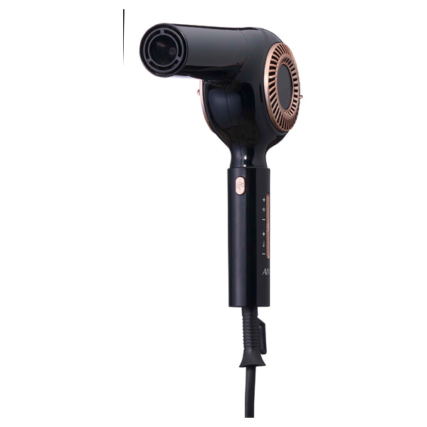 Aivil Brushless Motor Dryer