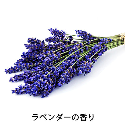 The product Lavender Hair Wax, 42g