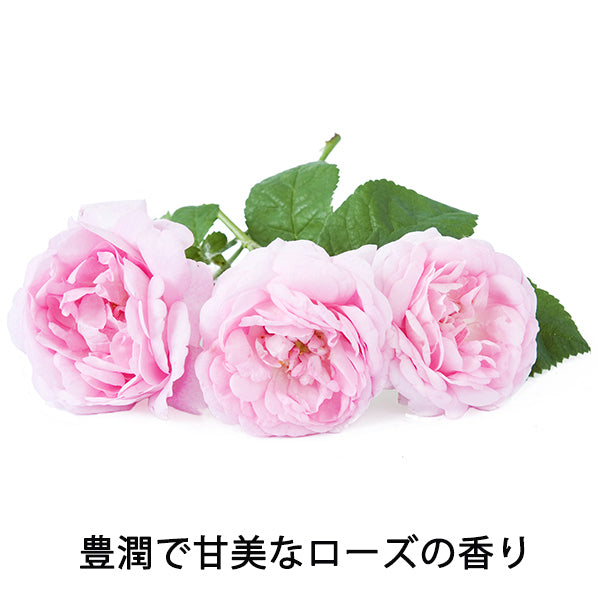 The product Damask Rose Hair Wax, 42g
