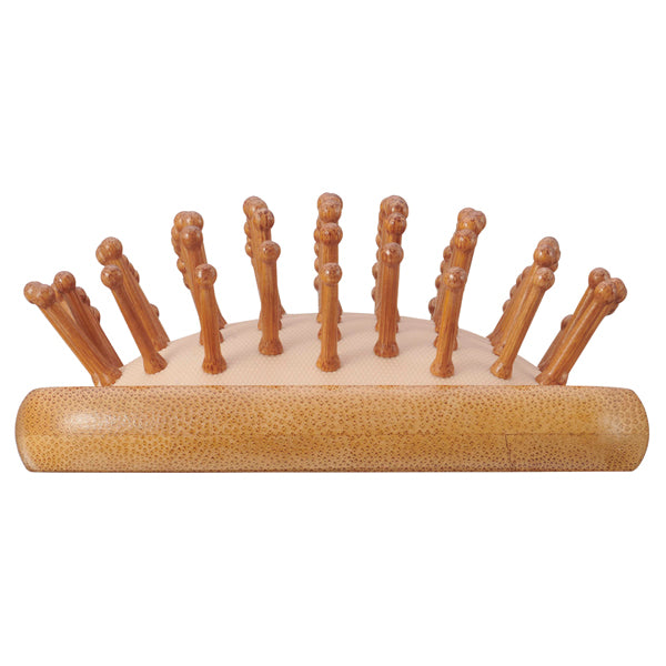 AIVIL Bamboo Brush
