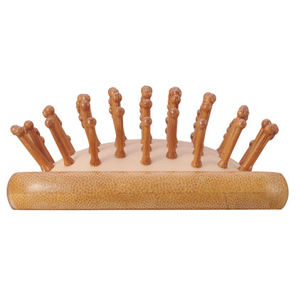 AIVIL Bamboo Brush