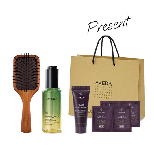 AVEDA Lucky Bag 2026 Mini Paddle Brush Set