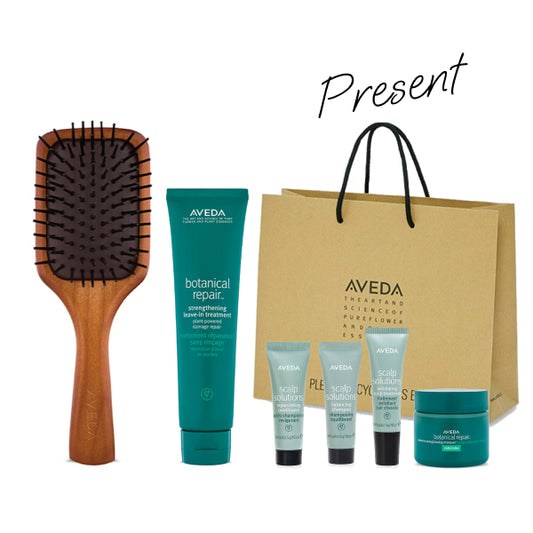 AVEDA Lucky Bag 2026 Paddle Brush Set