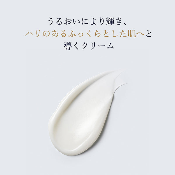 Estée Lauder Re-Nutriv Supreme+ YP Cream Limited Set, 75ml + 5ml x 3