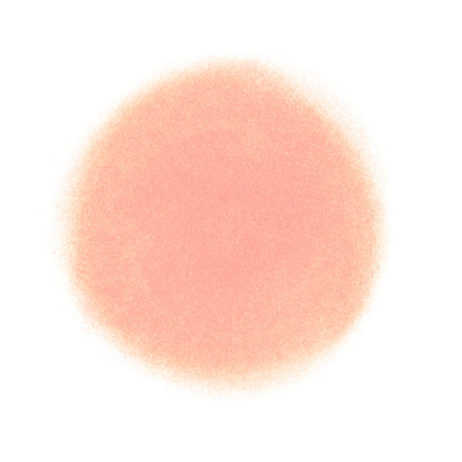 Oiad. Silver Purse Mousse Cream Lip & Cheek (06 Flip Peach), 7.5g