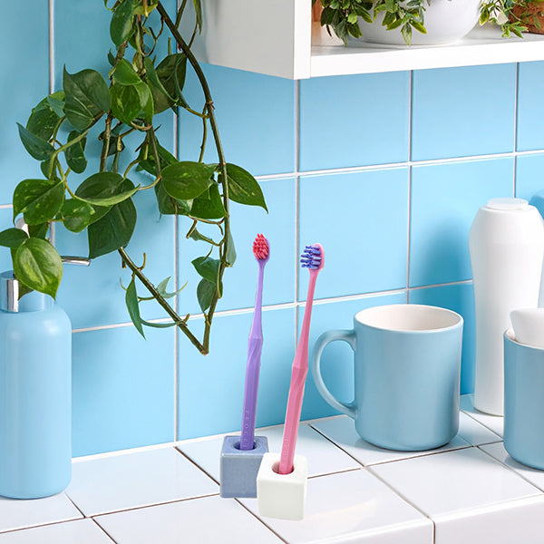 EBIS Progrip NUMA Toothbrush Oni Petit (Regular)