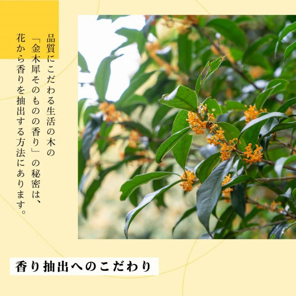 Life Tree (Tree of Life) Nail Oil (Kinmokusei/Osmanthus), 2ml
