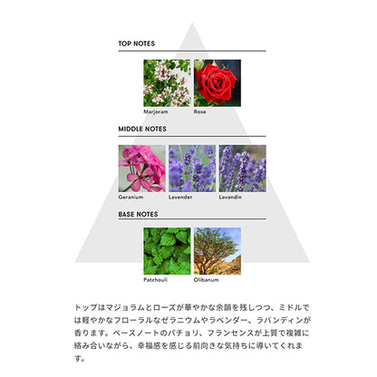 Too Good Multi-Benefit Oil, 50ml, Passionate Awakening