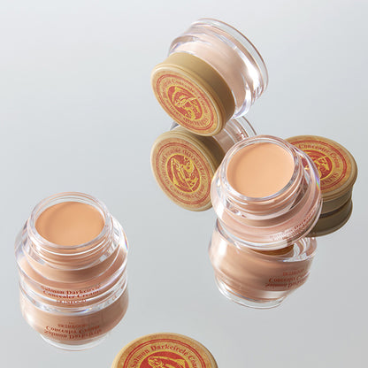 SKINFOOD Salmon Dark Circle Concealer (01 Blooming)