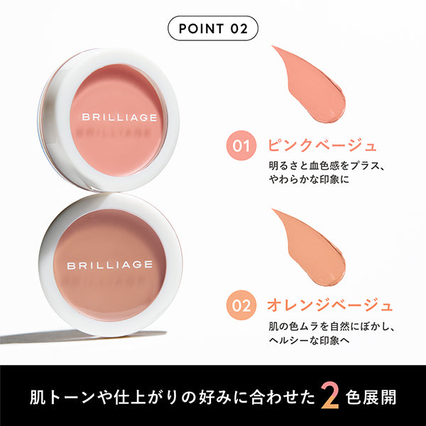 チーク BRILLIAGE CAMOUFLAGE CONCEALER CHEEK0304 Brilliage Camouflage Concealer Cheek 01, 6.7g. Covers spots