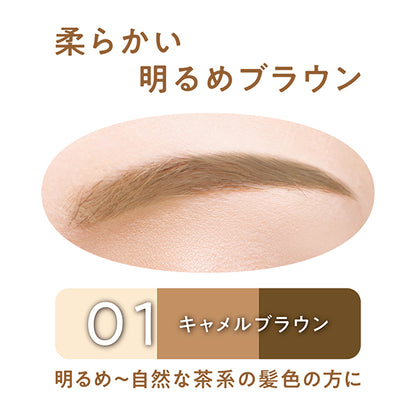 CEZANNE Eyebrow & Shade Powder (01 Camel Brown)