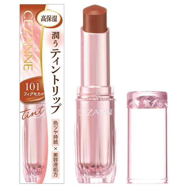 CEZANNE Lasting Gloss Lip N (101 Fig Mocha)