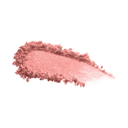 PAUL & JOE BEAUTE Face Color Blush Refill (04)