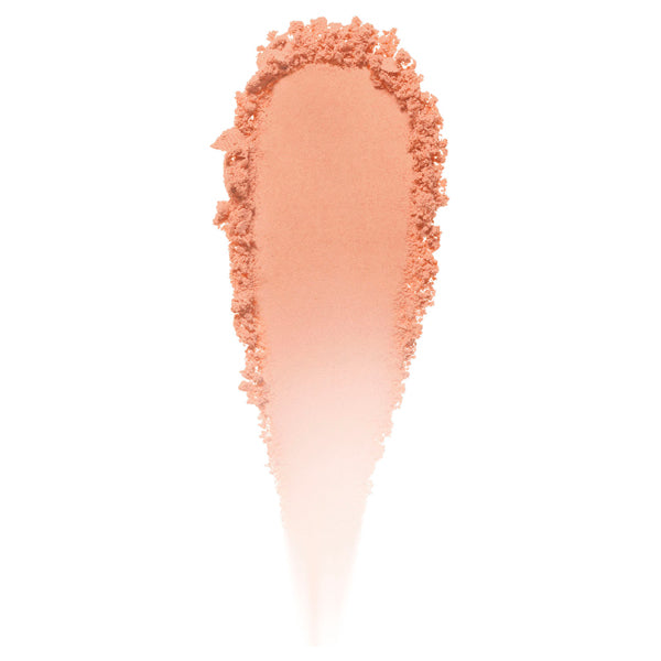 Fasio A foolproof face color UV (for a complexion), SPF10 PA+, 03 Orange Peach, 2.5g