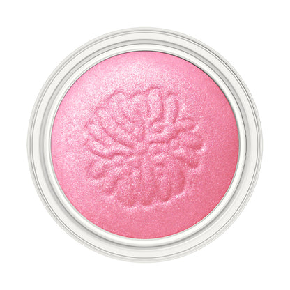 Paul & Joe Beaute Shimmering Eye Color (001)