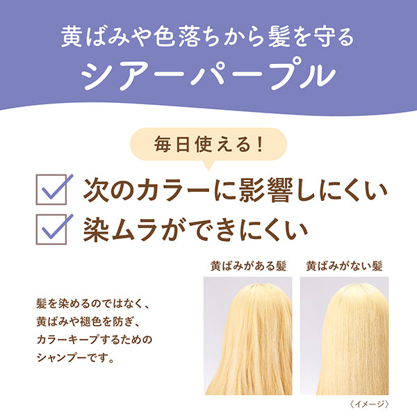Blondy Me Color Foam Shampoo (Sheer Purple), 350ml