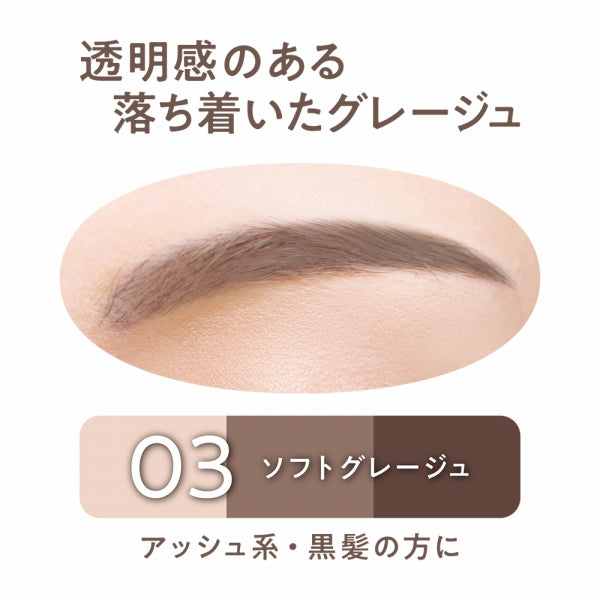 CEZANNE Eyebrow & Shade Powder (03 Soft Greige)